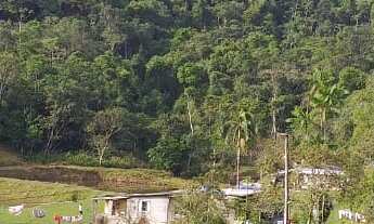 Imagem 3: EXCELENTE SÍTIO AS MARGENS DA RODOVIA COD: 4816