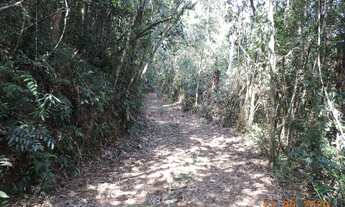 Imagem 7: Lindo sítio à venda cód.: 4825