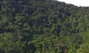 Imagem 4: EXCELENTE SÍTIO AS MARGENS DA RODOVIA COD: 4816