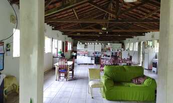 Imagem 5: EXCELENTE FAZENDA COM PASTO E MUITA ÁGUA COD: 4863