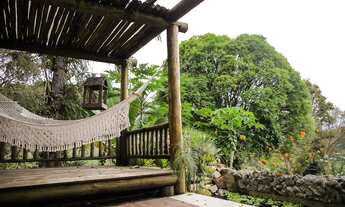 Imagem 7: FAZENDA COM 120 Alqueires COD: 4876