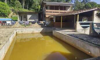 Imagem 2: EXCELENTE CHÁCARAS COM PISCINA NATURAL, NASCENTE E LAGO COD: 4880