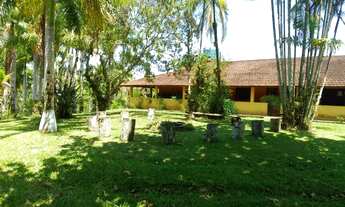 Imagem 2: EXCELENTE SÍTIO COM 12 ALQUEIRES COD: 4897