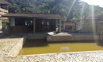 Imagem 4: EXCELENTE CHÁCARAS COM PISCINA NATURAL, NASCENTE E LAGO COD: 4880