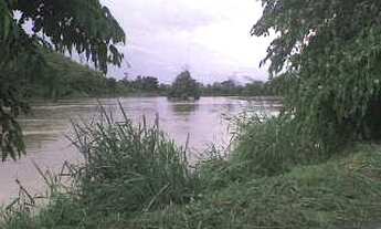 Imagem 5: EXCELENTE SÍTIO COM LAGOS E PASTO COD: 4885