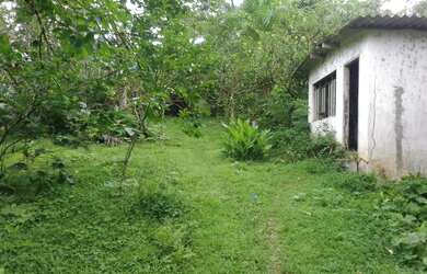 Imagem 4: SÍTIO COM 18 ALQUEIRES COD: 4935