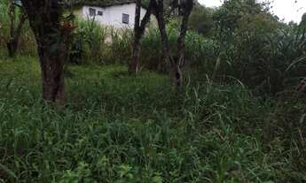 Imagem: Chácara com 3.300 m² - Á 75 km da Capital