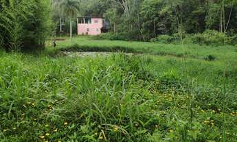 Imagem 2: Chácara com 3.300 m² - Á 75 km da Capital Paulista,SP COD: 4922