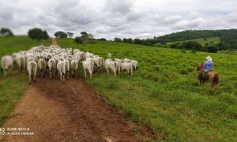 Imagem 4: EXCELENTE FAZENDA EM BRASILÂNDIA MG COD: 4988 F:(11) 97302-9229 CESAR