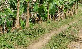 Imagem 4: EXCELENTE SÍTIO EM MIRACATU COD: 4964 F:(11) 97302-9229 CESAR