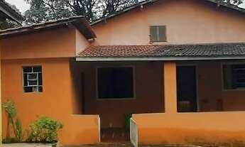 Imagem: SÍTIO CASTANHA PORTUGUESA COD 4961 F (11)