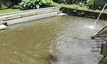 Imagem 5: CHÁCARA FEIJÃO DE CORDA,EMBU GUAÇU COD: 4956 F:(11) 97302-9229 CESAR