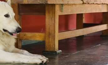 Imagem 4: EXCELENTE SÍTIO EM MIRACATU, SP COD: 4979 F:(11) 97302-9229 CESAR