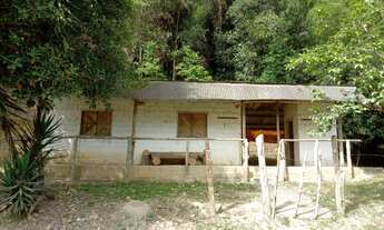 Imagem 2: EXCELENTE SÍTIO COM LAGOS COD: 4965 F:(11) 97302-9229 CESAR