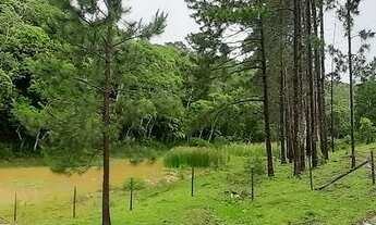 Imagem 6: SÍTIO CASTANHA PORTUGUESA COD: 4961 F:(11) 97302-9229 CESAR