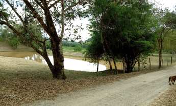 Imagem 5: EXCELENTE SÍTIO COM LAGOS COD: 4965 F:(11) 97302-9229 CESAR