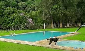 Imagem 5: SÍTIO CASTANHA PORTUGUESA COD: 4961 F:(11) 97302-9229 CESAR