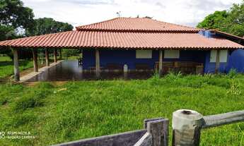Imagem: EXCELENTE FAZENDA EM BRASILÂNDIA MG COD