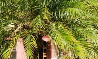 Imagem 4: EXCELENTE CHÁCARA PARA EVENTOS OU LAZER COD: 5018 F:(11) 97302-9229 CESAR