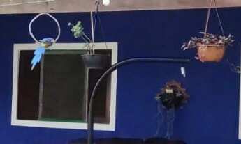 Imagem: EXCELENTE CASA PRÓXIMO DO CENTRO COD 4997