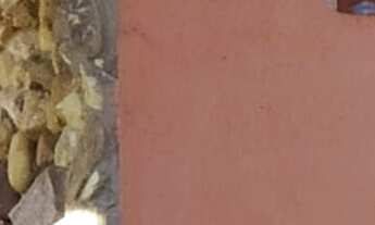 Imagem 4: EXCELENTE CHÁCARA PARA MORADIA COD: 5023 F:(11) 97302-9229 CESAR