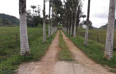 Imagem 5: Fazenda Caiçara COD: 5038 F:(11) 97302-9229 CESAR