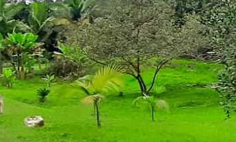 Imagem 6: CHÁCARA BANANA OURO, JUQUITIBA , SÃO PAULO COD: 5067 F:(11) 97302-9229 CESAR