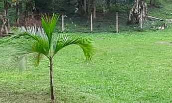 Imagem 7: CHÁCARA BANANA OURO, JUQUITIBA , SÃO PAULO COD: 5067 F:(11) 97302-9229 CESAR