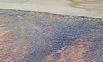 Imagem 2: PEQUENA CHÁCARA COM 900 M² EM JUQUITIBA COD: 5099 F:(11) 97302-9229 CESAR