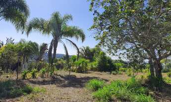 Imagem 6: OPORTUNIDADE EXCELENTE CHÁCARA EM REGISTRO COD: 5234 F:(11) 97302-9229 CESAR