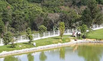 Imagem: EXCELENTE SÍTIO FAZENDINHA COD 5230 F