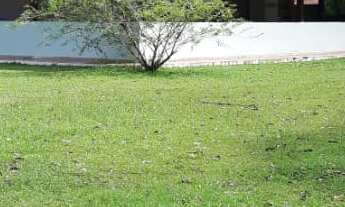 Imagem 6: EXCELENTE SÍTIO FAZENDINHA COD: 5230 F:(11) 97302-9229 CESAR