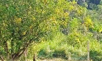 Imagem 7: EXCELENTE TERRENO PARA FORMAR CHÁCARA COD: 5280 F:(11) 97302-0929 CESAR