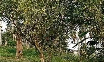 Imagem 4: EXCELENTE TERRENO PARA FORMAR CHÁCARA COD: 5280 F:(11) 97302-0929 CESAR