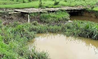 Imagem 6: Fazenda 101 #Alqueires - no Vale do Ribeira SP COD: 5325 F:(11) 97302-9229 CESAR