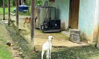 Imagem 2: Fazenda 101 #Alqueires - no Vale do Ribeira SP COD: 5325 F:(11) 97302-9229 CESAR