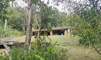 Imagem: EXCELENTE SÍTIO COM PISCINA, NASCENTES