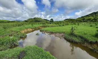 Imagem 7: Fazenda 101 #Alqueires - no Vale do Ribeira SP COD: 5325 F:(11) 97302-9229 CESAR