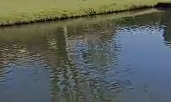 Imagem 5: Sítio com 18,7 Hectares Com Cachoeira Própria COD: 5317 F:(11) 97302-9229 CESAR