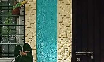 Imagem 2: EXCELENTE CHÁCARA COM 20.000 M² COD: 5369 F:(11) 97302-9229 CESAR