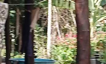 Imagem 4: EXCELENTE CHÁCARA COM 20.000 M² COD: 5369 F:(11) 97302-9229 CESAR