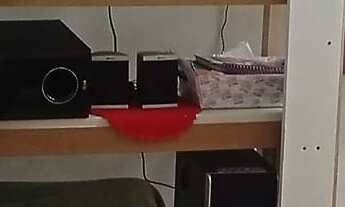 Imagem 7: EXCELENTE CHÁCARA COM 20.000 M² COD: 5369 F:(11) 97302-9229 CESAR