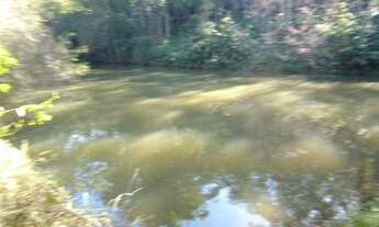 Imagem 7: EXCELENTE SÍTIO COM LAGOS E NASCENTE COD: 5371 F:(11) 97302-9229 CESAR