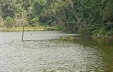 Imagem 3: EXCELENTE CHÁCARA COM LAGOS E NASCENTE COD: 5370 F:(11) 97302-9229 CESAR