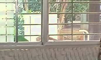 Imagem 6: EXCELENTE CHÁCARA COM 20.000 M² COD: 5369 F:(11) 97302-9229 CESAR