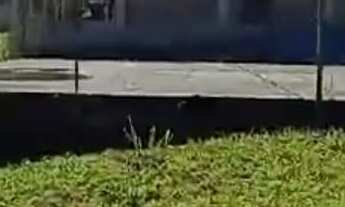 Imagem 3: EXCELENTE CHÁCARA DE 9.000 M² COM LAGOS COD: 5398 F:(11) 97302-9229 CESAR