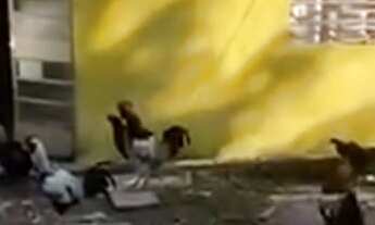 Imagem 2: Graciosa chácara em Juquitiba com lago COD: 5402 F:(11) 97302-9229 CESAR