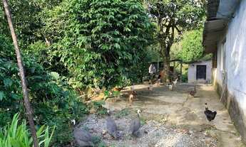 Imagem 3: EXCELENTE CHÁCARA COM LAGO E PLANTIO COD: 5410 F:(11) 97302-9229 CESAR