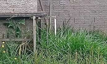 Imagem 6: EXCELENTE CHACRINHA DE 1.100,00M² COD: 5397 F:(11) 97302-9229 CESAR