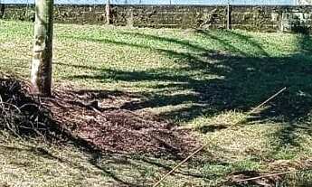 Imagem: EXCELENTE CHÁCARA DE 9.000 M² COM LAGOS